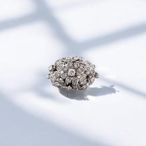 IMG 4294 2 Photoroom